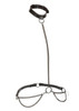 Euphoria Coll Chain Halter Col Leash
