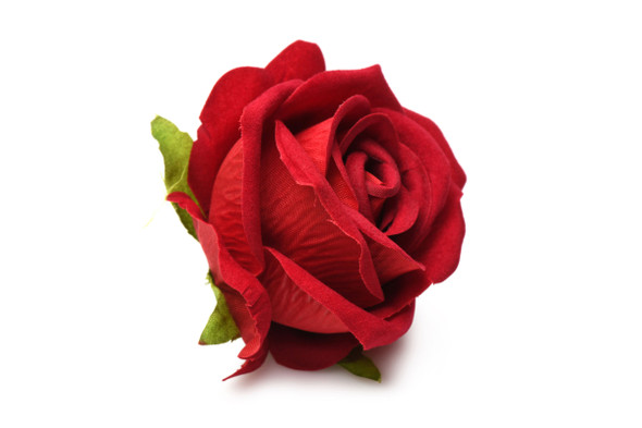 The Rose Lover's Gift Box Bloomgasm - Red The Rose Lover's Gift Box Bloomgasm - Red