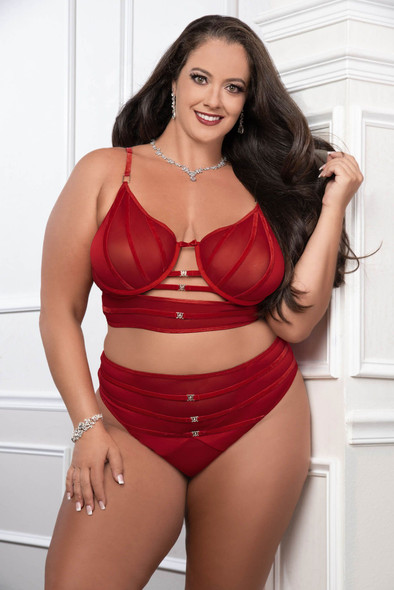 Cinnamon Red 2pc Satin Bra and High Waist Panty - Queen Size Cinnamon Red 2pc Satin Bra and High Waist Panty - Queen Size