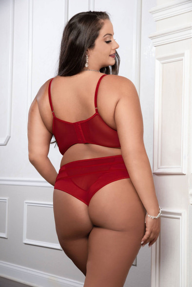 Cinnamon Red 2pc Satin Bra and High Waist Panty - Queen Size Cinnamon Red 2pc Satin Bra and High Waist Panty - Queen Size