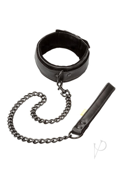 Boundless Collar and Leash Black Boundless Collar and Leash Black