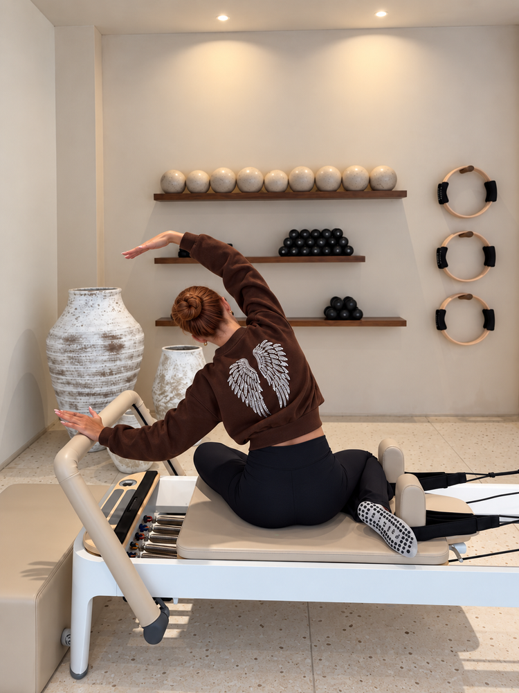 Long-sleeved sweatshirt with wings and studs Brown