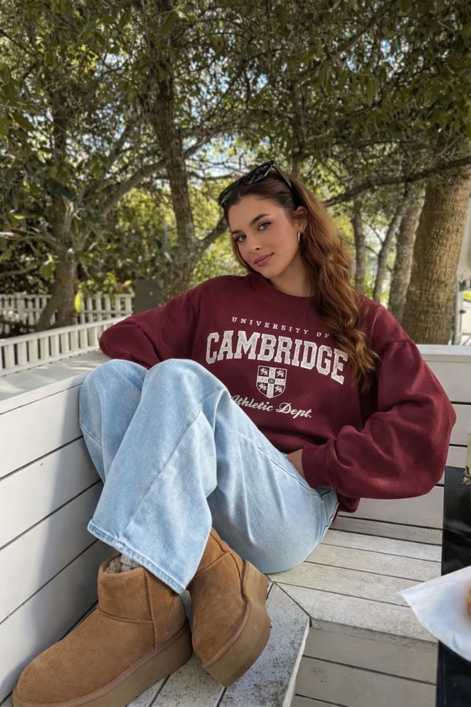 Sweatshirt with embroidery