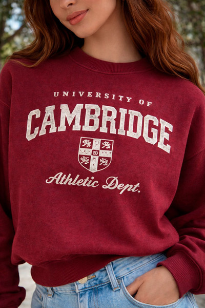 Sweatshirt with embroidery