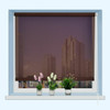 CTWHW54862BN_4
