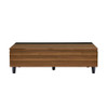 Avala Coffee Table