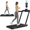 2-in-1 Electric Motorized Health and Fitness Folding Treadmill with Dual Display and Bluetooth Speaker-Black