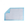 200 pcs 24" x 24" Pet Wee Pee Piddle Pad