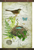 Vintage Song Bird Tapestry Wall Decor