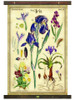 The Iris Arrangement Tapestry Wall Decor