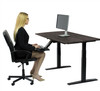 Black on Black 52" Bamboo Dual Motor Electric Office Adjustable Computer Desk