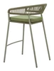 Skye Green (Set of 2) Steel and Olefin Barstool for Outdoor Use