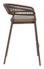 Skye Brown (Set of 2) Steel and Olefin Barstool for Outdoor Use