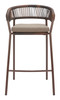 Skye Brown (Set of 2) Steel and Olefin Barstool for Outdoor Use