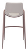 Desi Beige & Walnut (Set of 2) Steel and Polyurethane Barstool