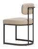 Velar Beige & Gray (Set of 2) Steel and Polyurethane Dining Chair
