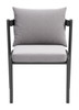 Horizon Gray (Set of 2) Aluminum and Olefin Dining Chair for Outdoor Use