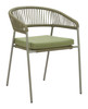 Skye Green (Set of 2) Steel and Olefin Dining Chair for Outdoor Use