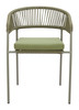 Skye Green (Set of 2) Steel and Olefin Dining Chair for Outdoor Use