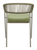 Skye Green (Set of 2) Steel and Olefin Dining Chair for Outdoor Use