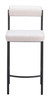 Livorno Ivory (Set of 2) Steel and Polyester Counter Stool