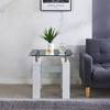 Black Tempered Glass End Table with Stainless Steel Frame