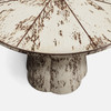 Novak 42-Inch Entry Table - Maple Birdseye Burl Veneer