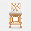 Bessette Counter Stool - Unbleached Natural Rattan and Clear Acrylic - Colorado Nougat Leather