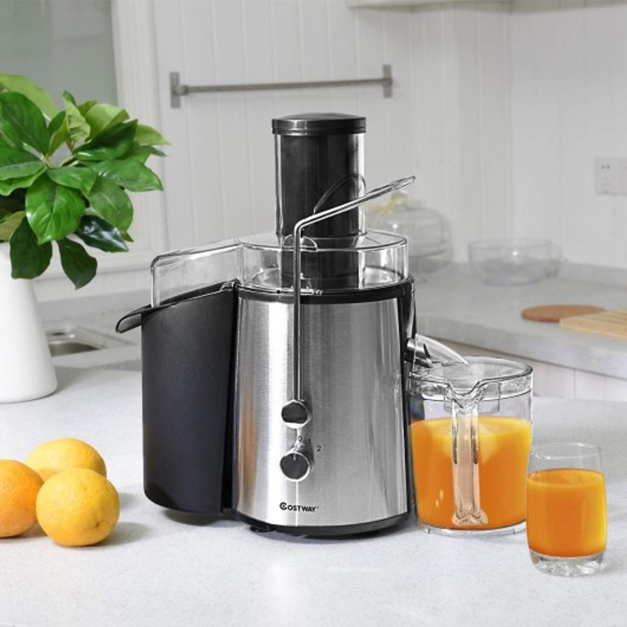 Costway Centrifugal Juicer Machine Juicer Extractor Dual Speed