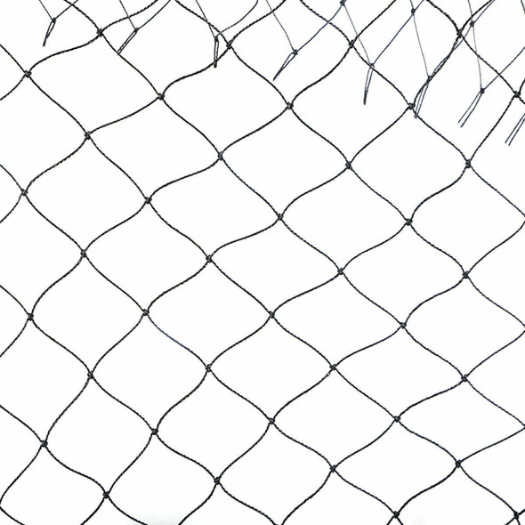 50' x 50' Anti Bird Netting Poultry Fish Net