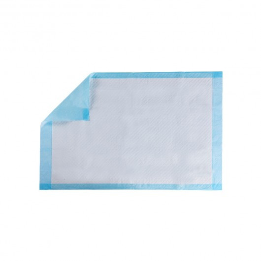 200 pcs 24" x 24" Pet Wee Pee Piddle Pad