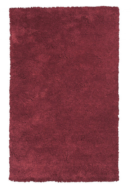 5'x7' Red Indoor Shag Rug