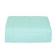 CTWHT1129GN_1