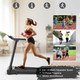 CTWSP37306US_3