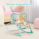 CTWBB0488GN_5