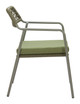 Rio Green (Set of 2) Steel and Olefin Dining Chair for Outdoor Use