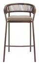Skye Brown (Set of 2) Steel and Olefin Barstool for Outdoor Use