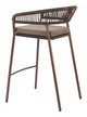 Skye Brown (Set of 2) Steel and Olefin Barstool for Outdoor Use