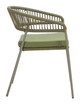 Skye Green (Set of 2) Steel and Olefin Dining Chair for Outdoor Use