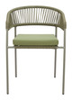 Skye Green (Set of 2) Steel and Olefin Dining Chair for Outdoor Use