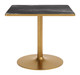Caliza Black & Gold Tempered Glass and Steel Square Dining Table