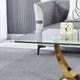 Clear Silver Tempered Glass Coffee Table