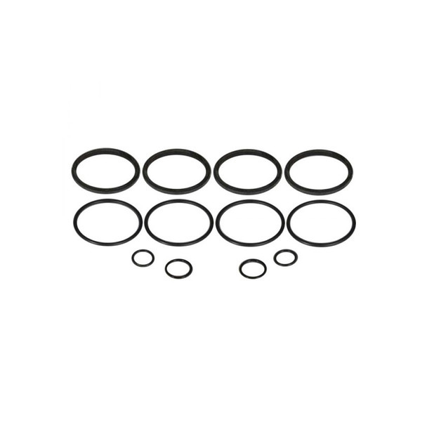 Strange O-Ring Kit - For Early Strange 4-Piston Caliper B5105