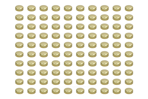 Pioneer Expansion Plugs - 1-5/8 Brass (100Pk) Epc-41-B-100