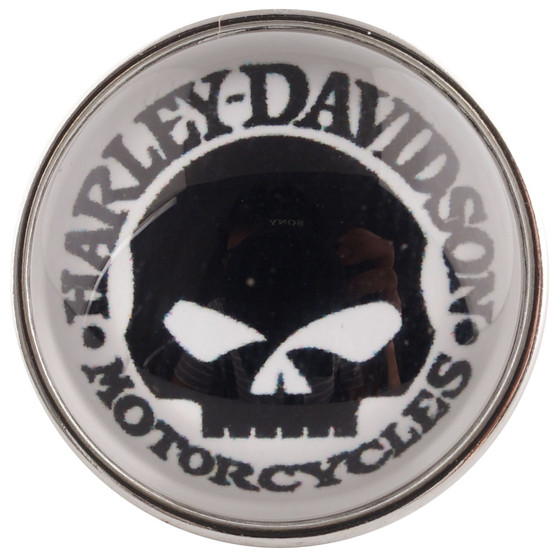   Harley Davidson Motorcycles- Glass 