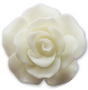 Rose - White 