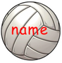 Sport - Custom Volleyball 20mm