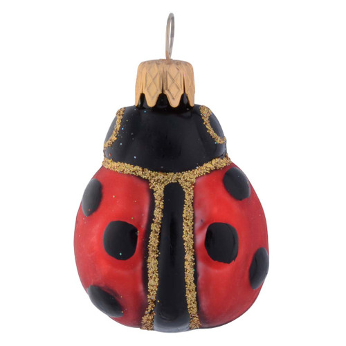 Ladybug ~40mm