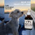 cbd oil for dogs, cats, horses