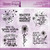 BLESSINGS BOX SUBSCRIPTION PLAN